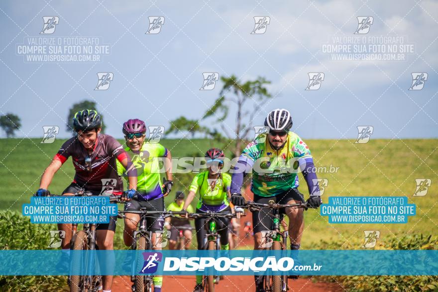 6º Pedal Light by Day - Milani Bike