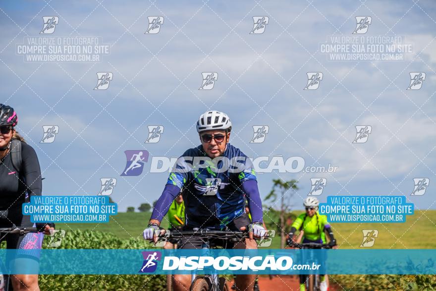6º Pedal Light by Day - Milani Bike