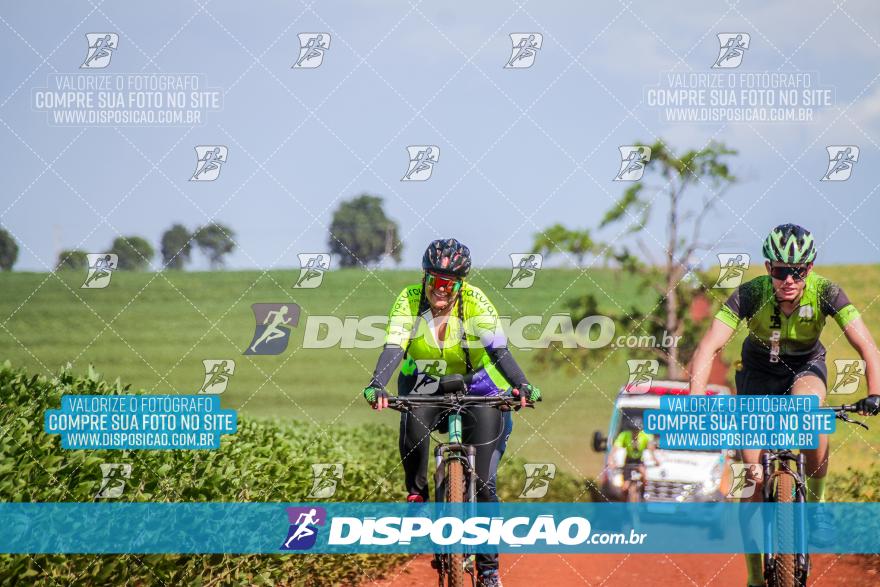6º Pedal Light by Day - Milani Bike