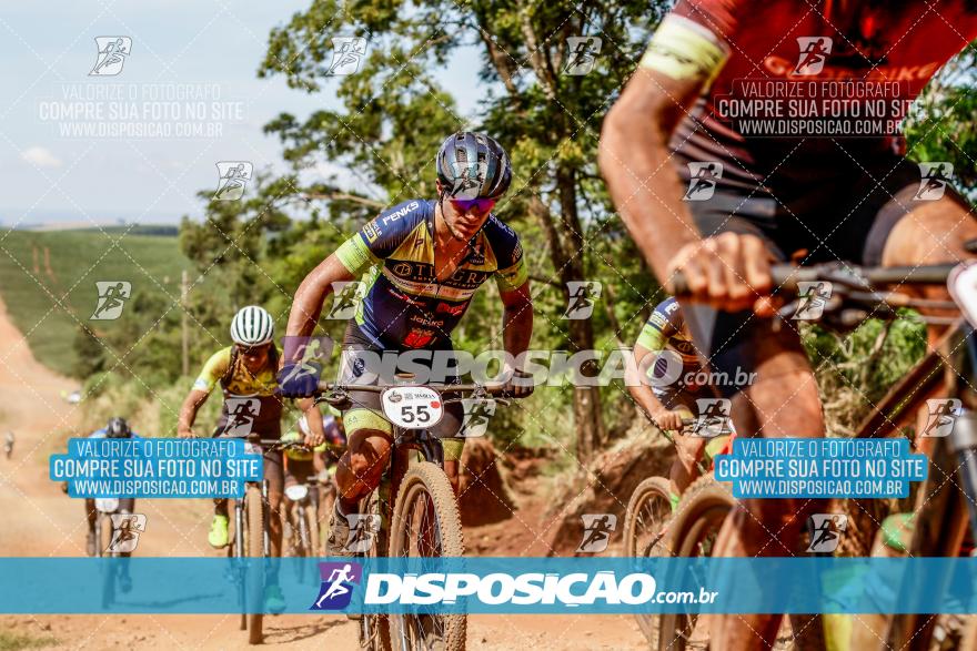 VI GP Mandaguaçu MTB