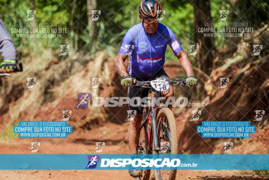 VI GP Mandaguaçu MTB