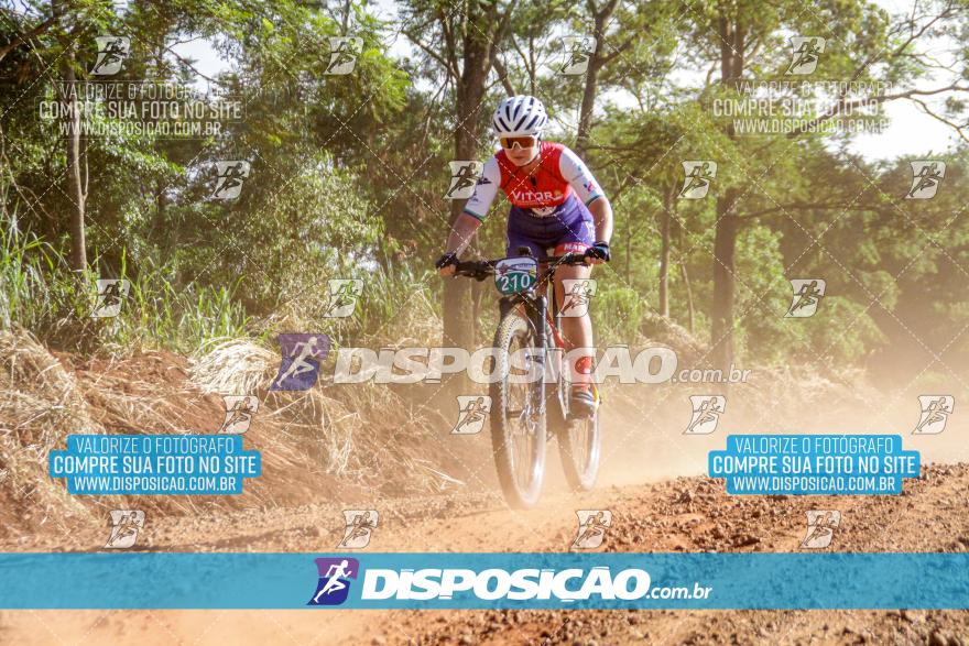 VI GP Mandaguaçu MTB