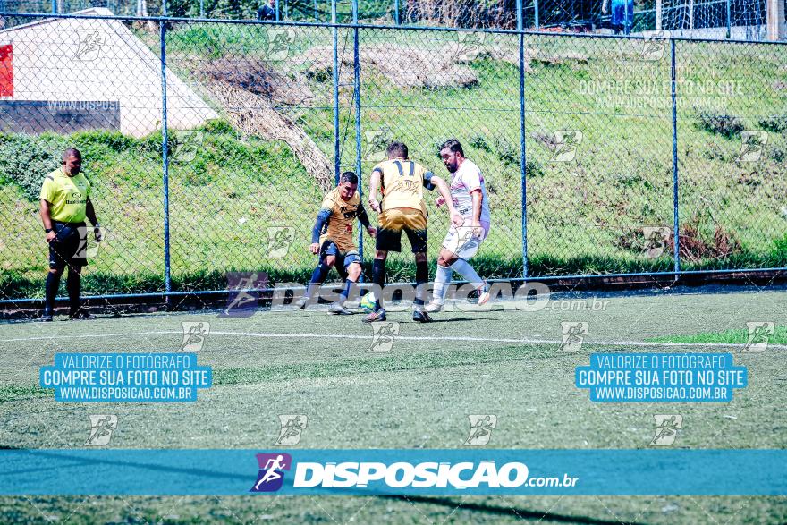 Copa Land View 2024