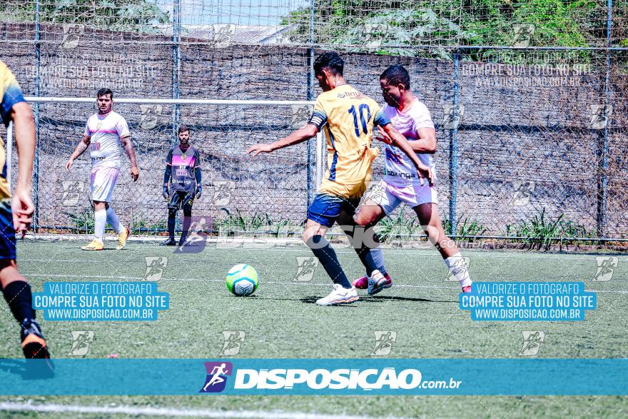 Copa Land View 2024