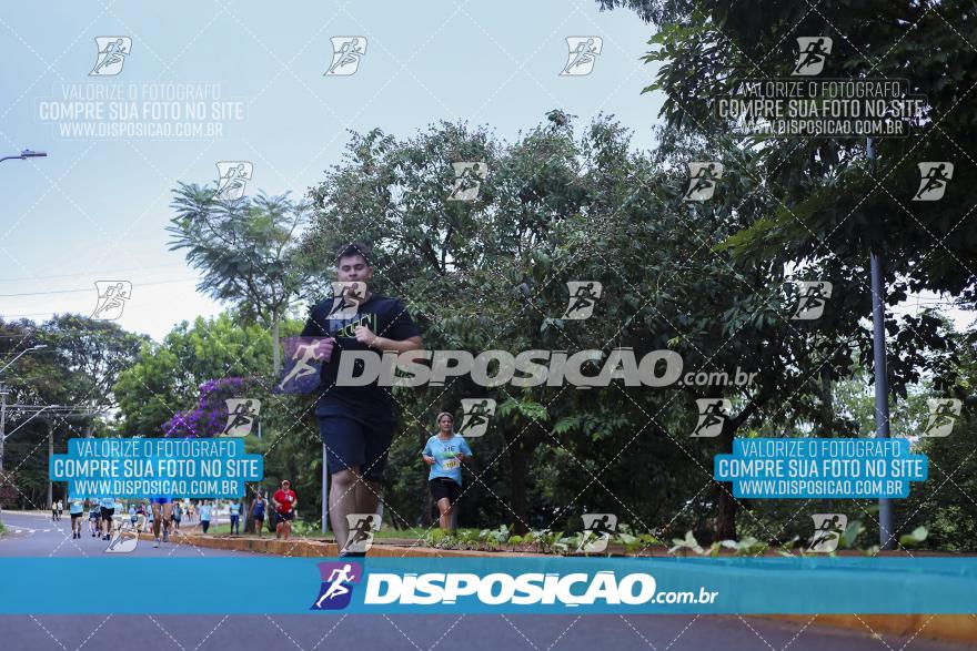 HE Run 2024