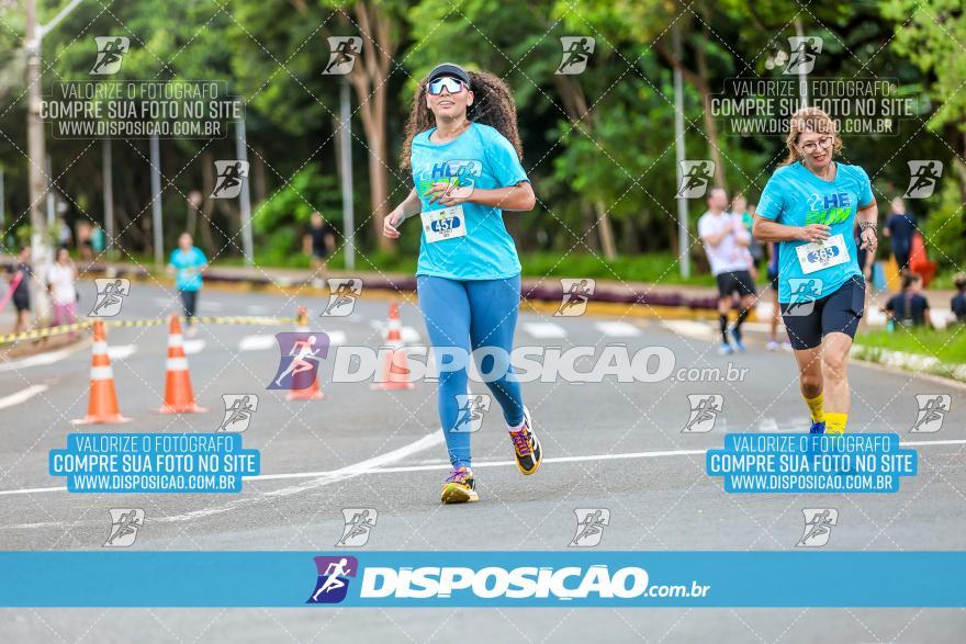 HE Run 2024