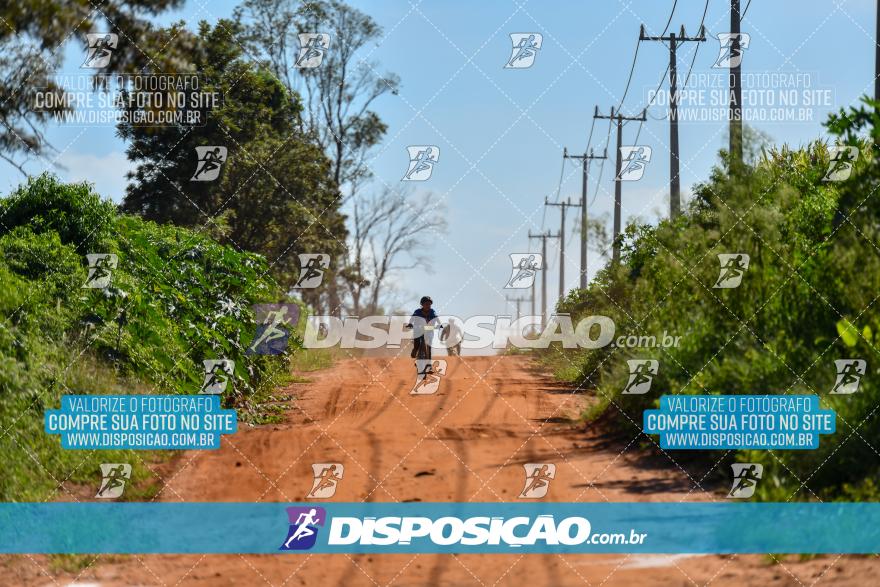 7º Rede Bike