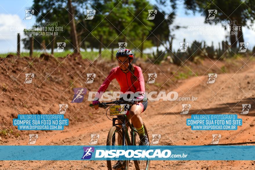 7º Rede Bike