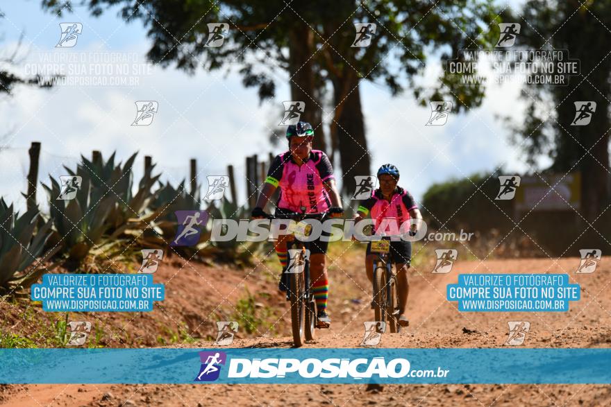 7º Rede Bike