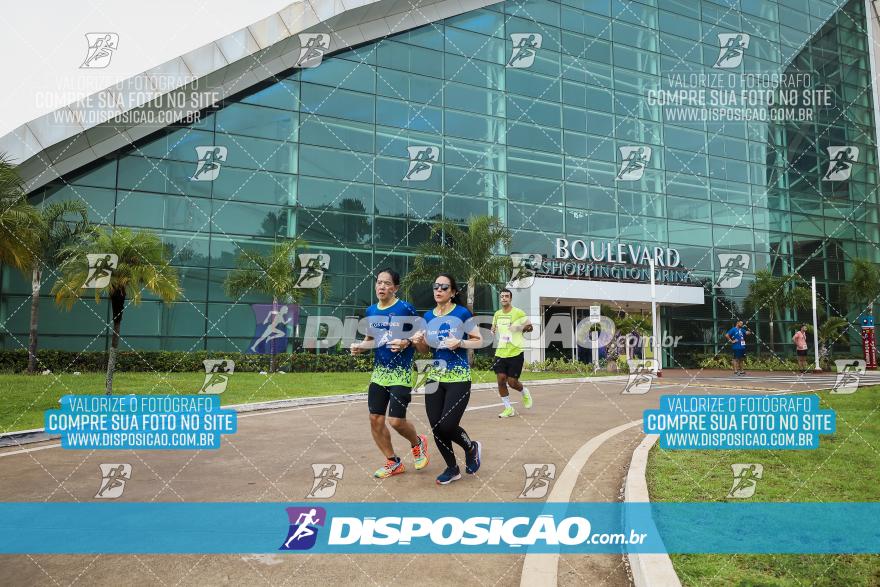 Boulevard Run 2024
