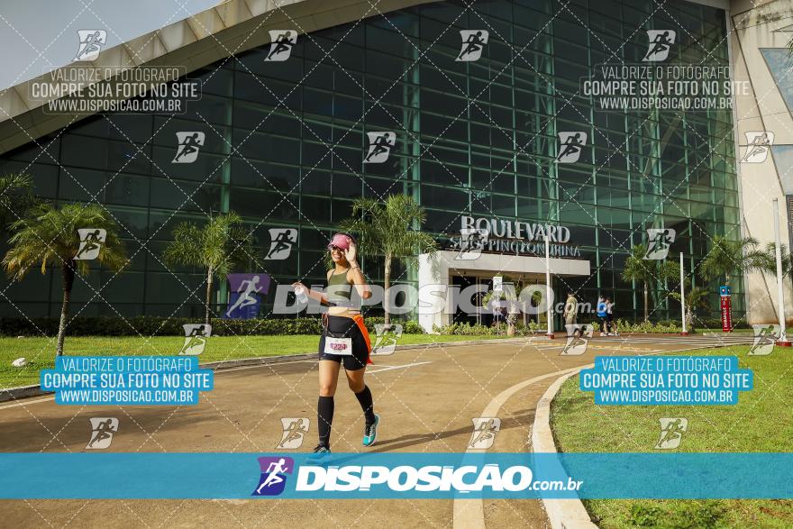 Boulevard Run 2024