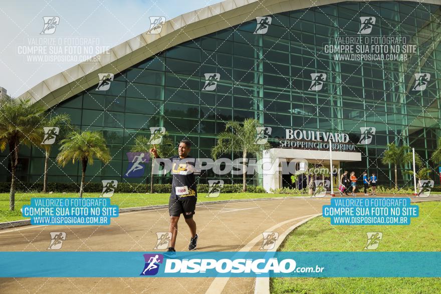 Boulevard Run 2024