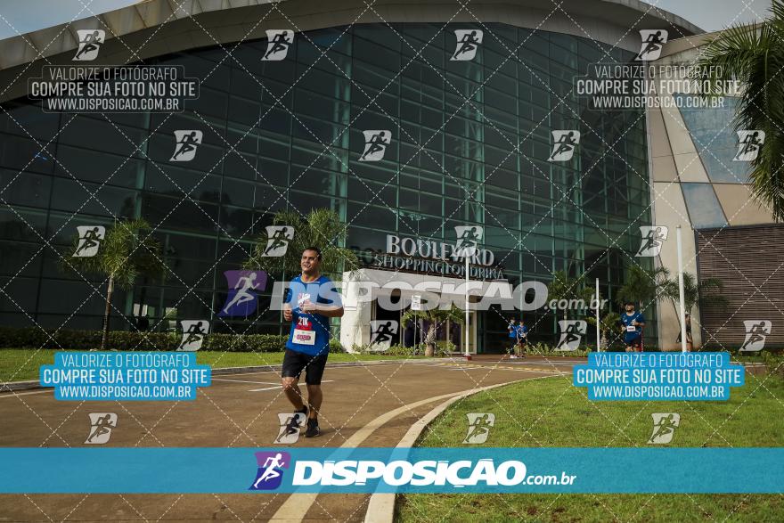 Boulevard Run 2024