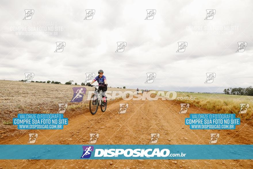 9º Caminhos de São José