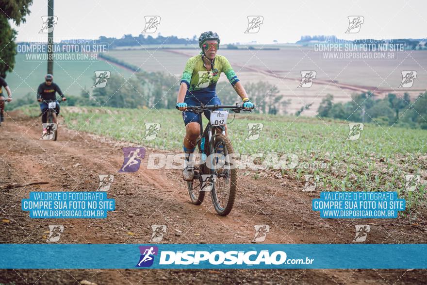 9º Caminhos de São José