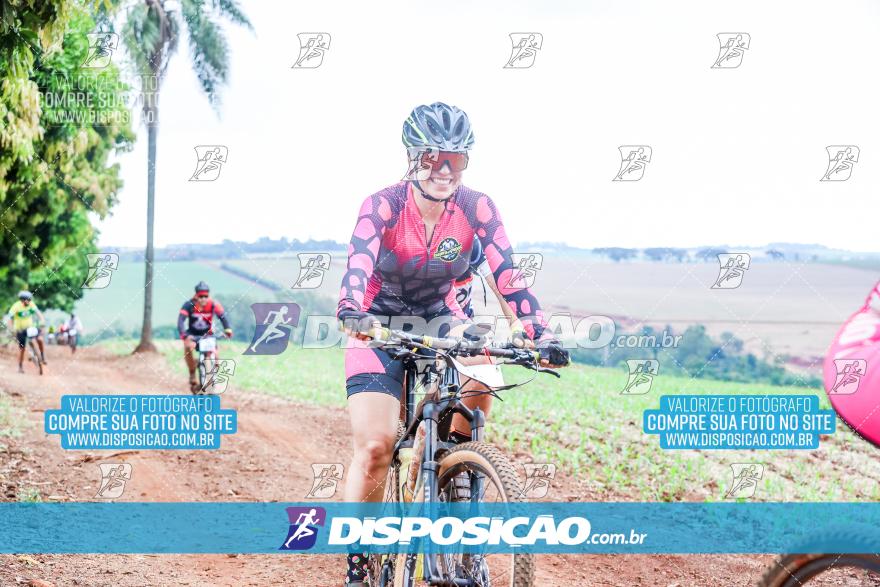 9º Caminhos de São José