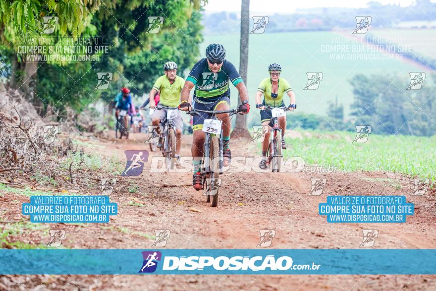 9º Caminhos de São José