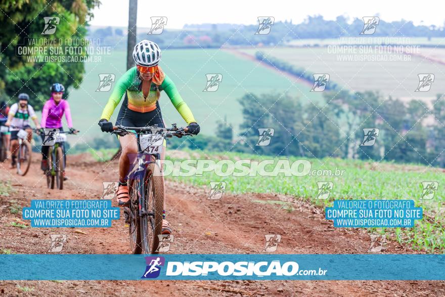 9º Caminhos de São José
