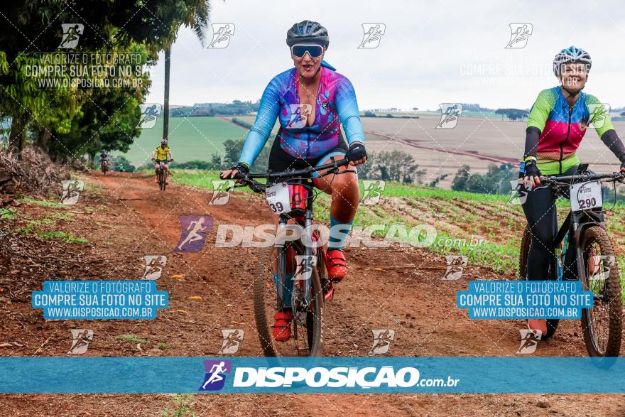9º Caminhos de São José