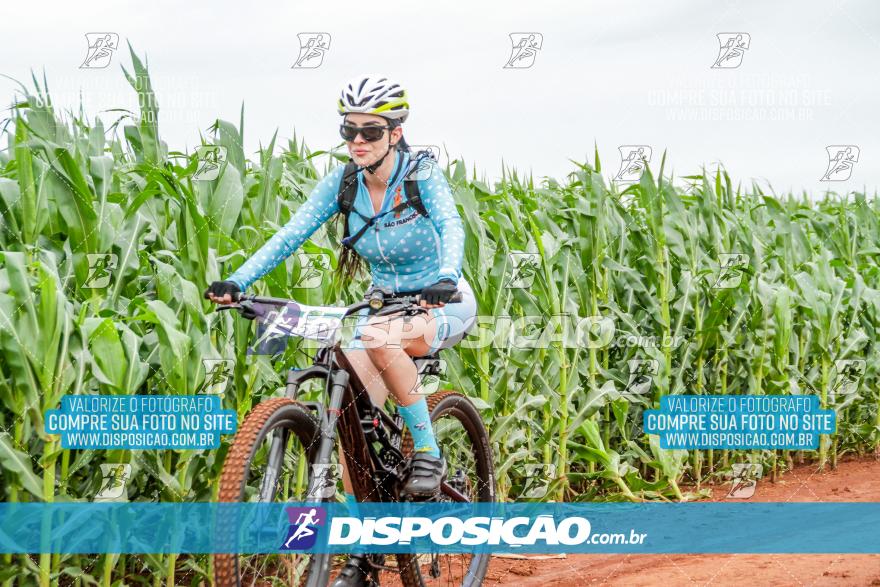 APAExonados por Bike 2024