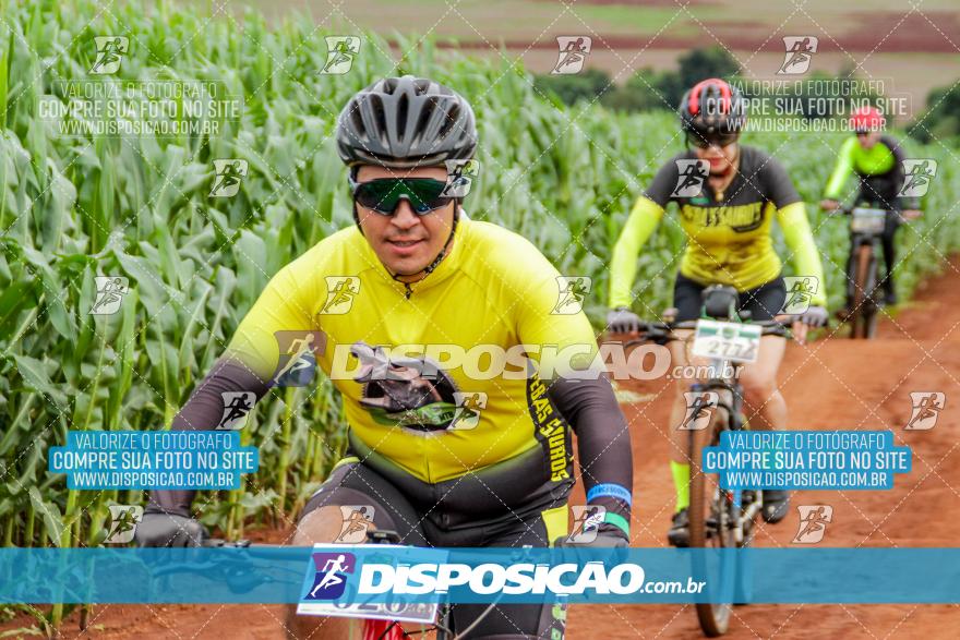 APAExonados por Bike 2024