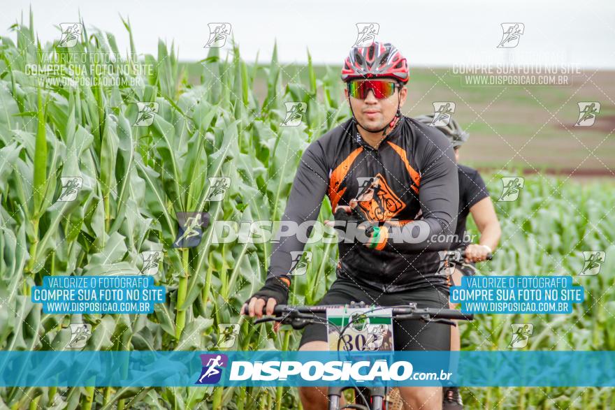 APAExonados por Bike 2024