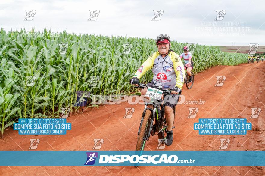 APAExonados por Bike 2024
