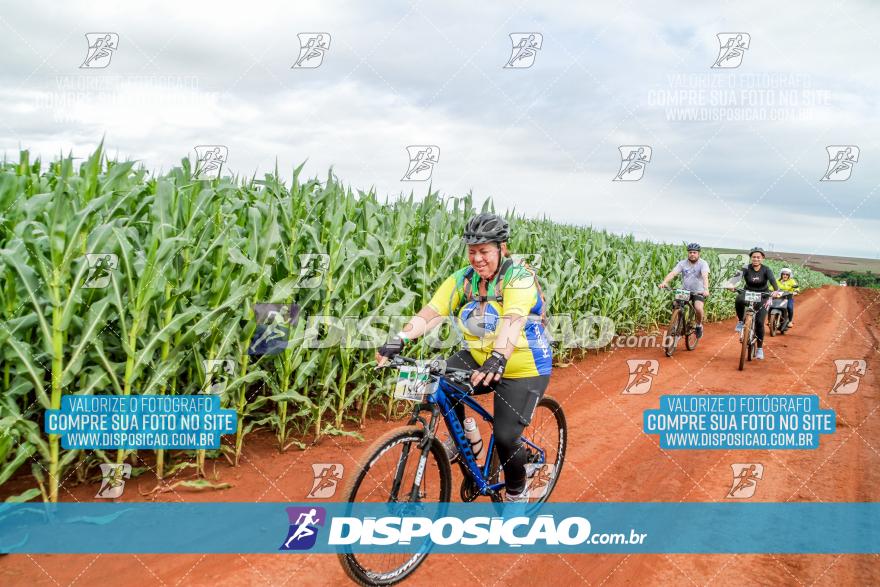 APAExonados por Bike 2024