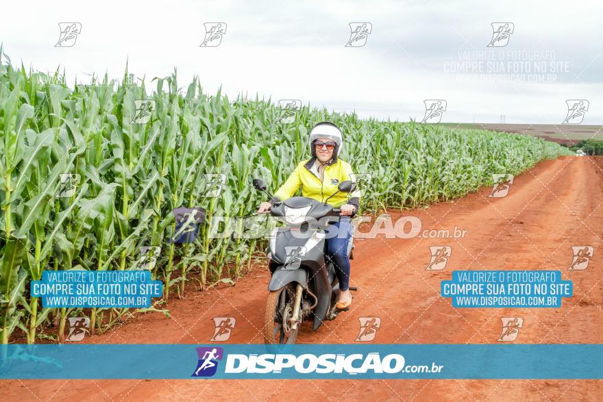 APAExonados por Bike 2024