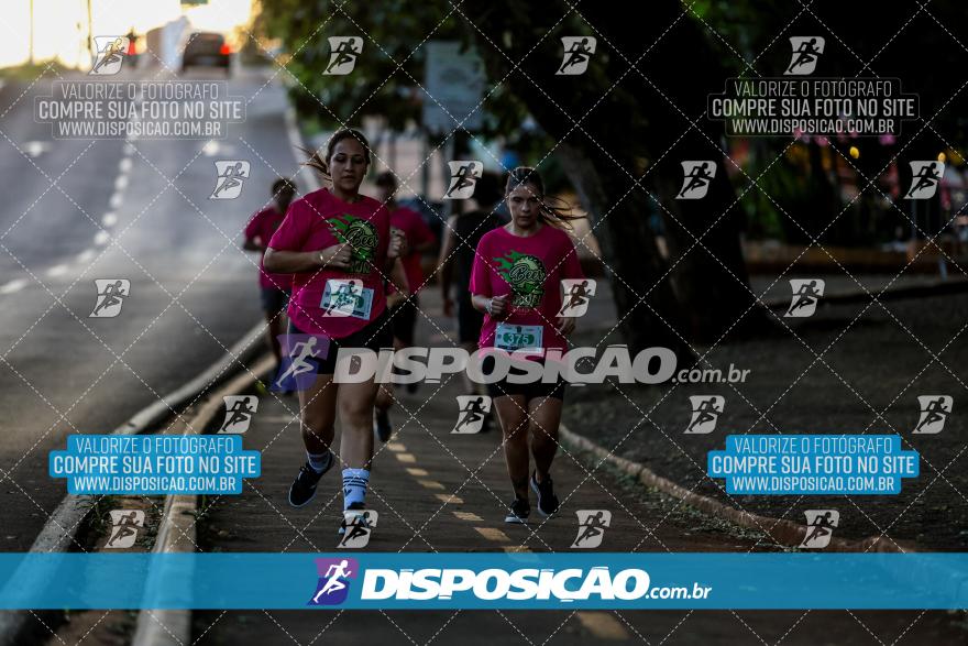 Amadeus Beer Run 2024