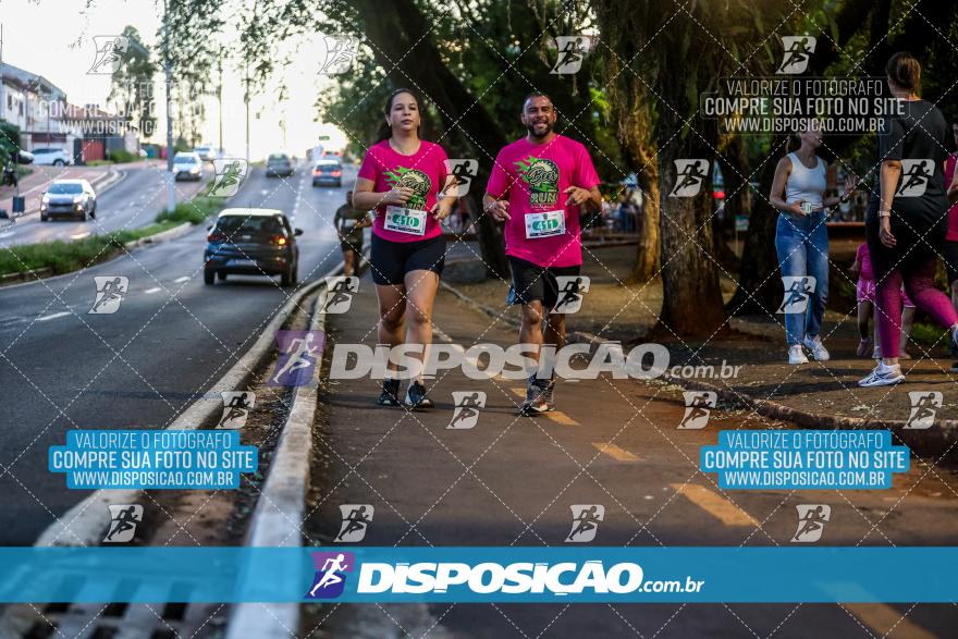 Amadeus Beer Run 2024