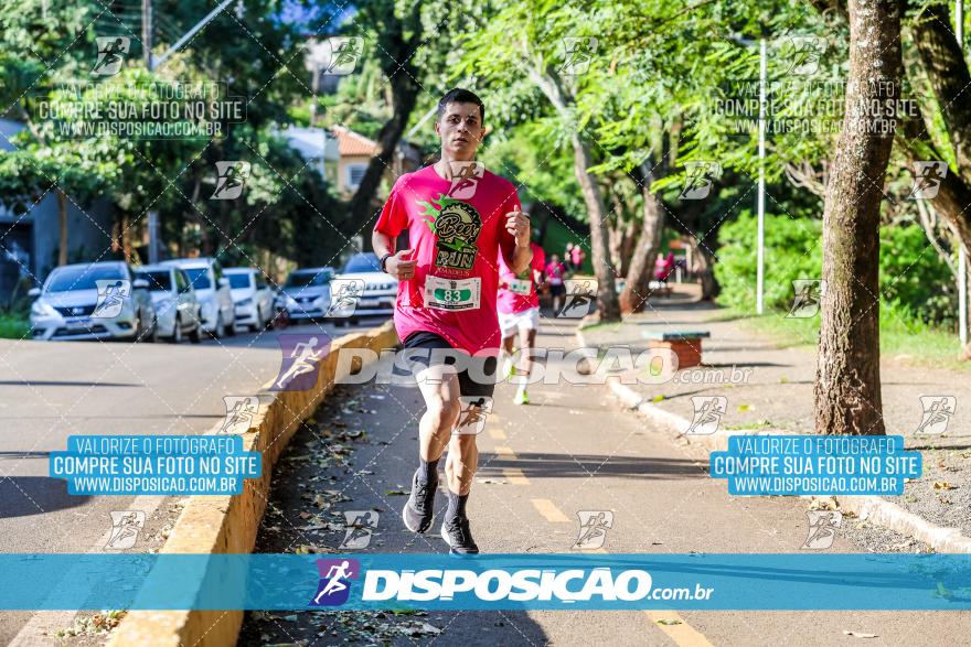 Amadeus Beer Run 2024