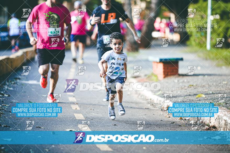 Amadeus Beer Run 2024