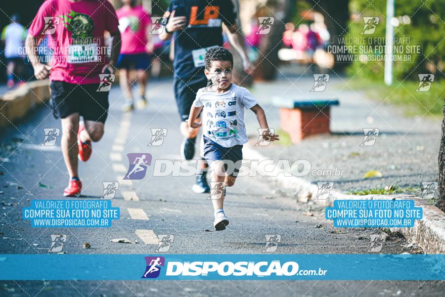 Amadeus Beer Run 2024