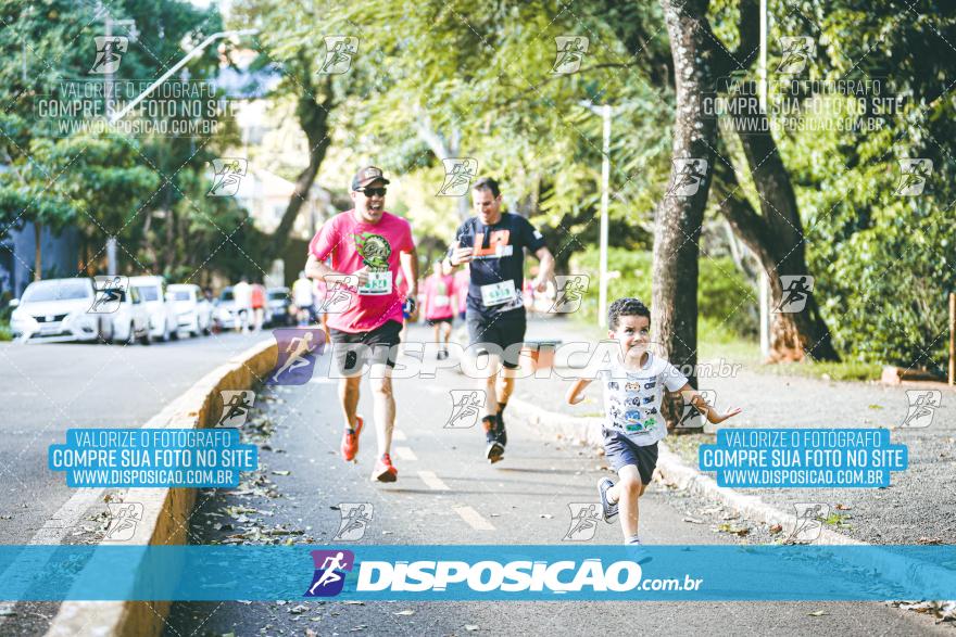 Amadeus Beer Run 2024
