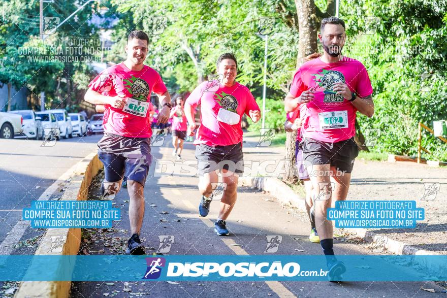 Amadeus Beer Run 2024