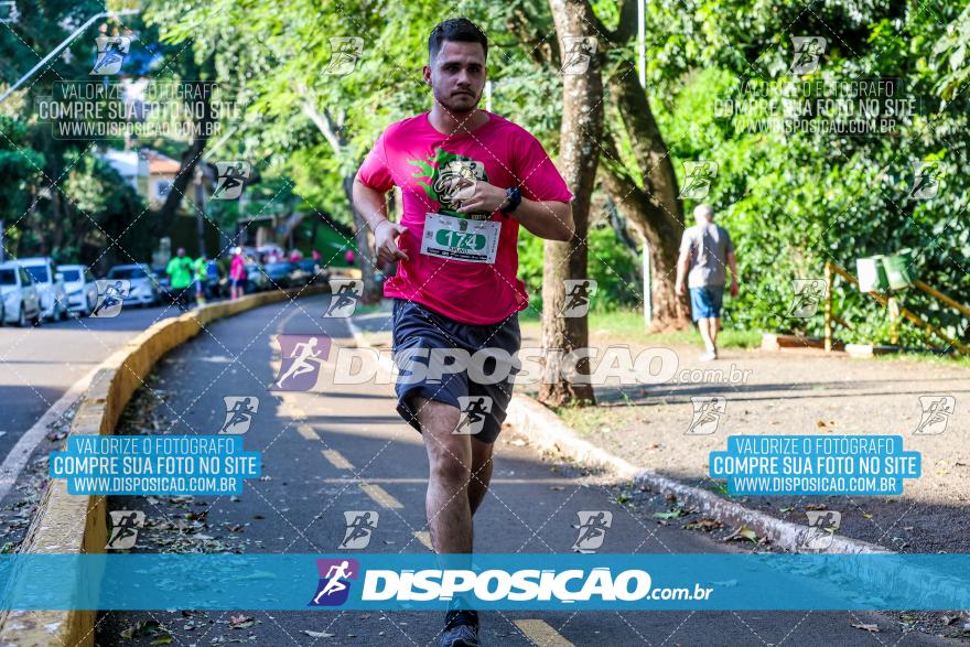 Amadeus Beer Run 2024