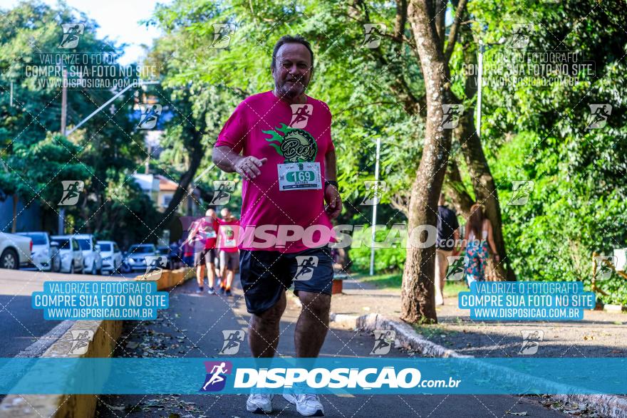 Amadeus Beer Run 2024