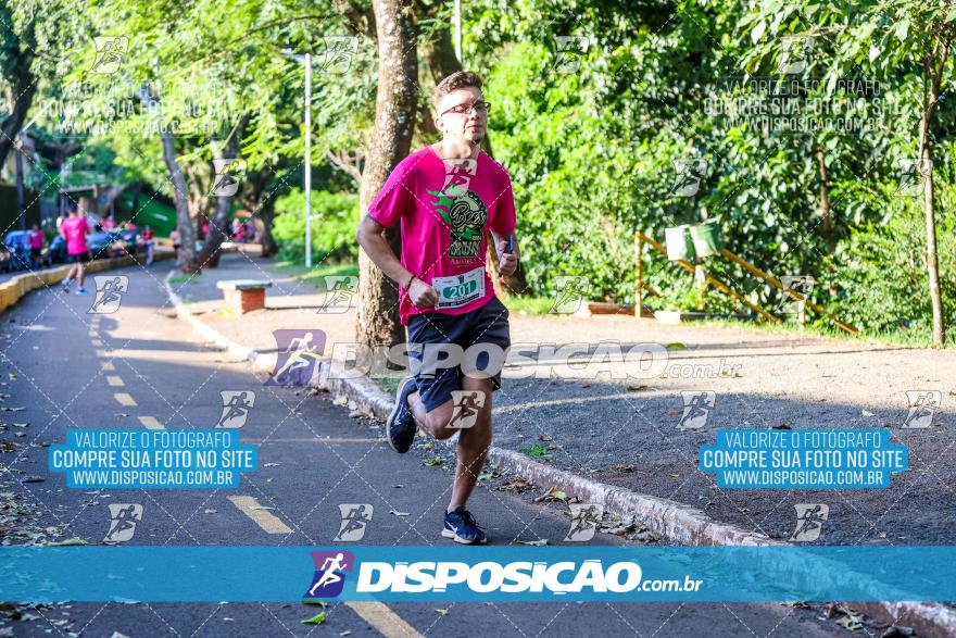 Amadeus Beer Run 2024
