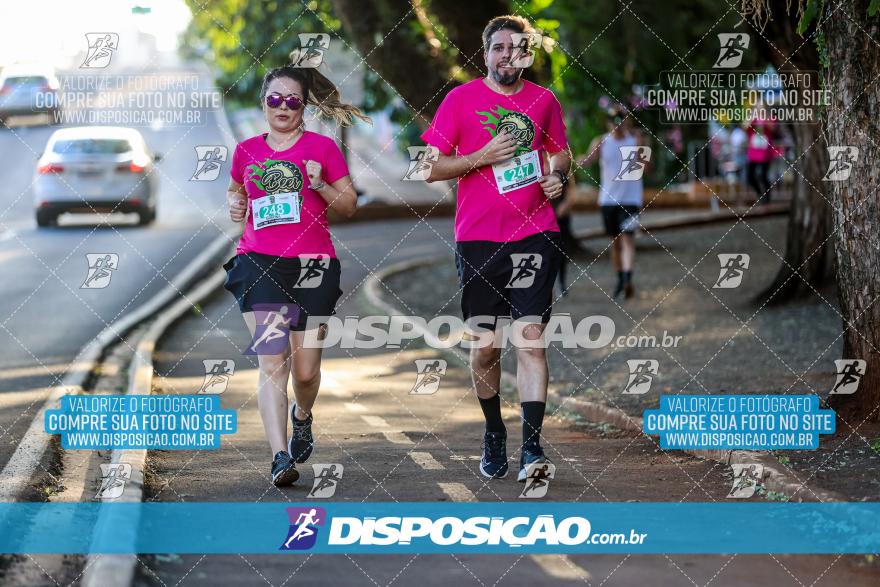 Amadeus Beer Run 2024