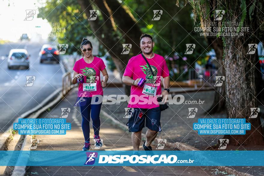 Amadeus Beer Run 2024