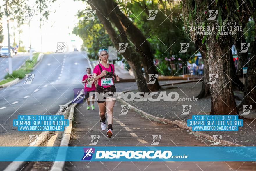 Amadeus Beer Run 2024