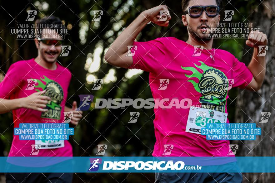 Amadeus Beer Run 2024