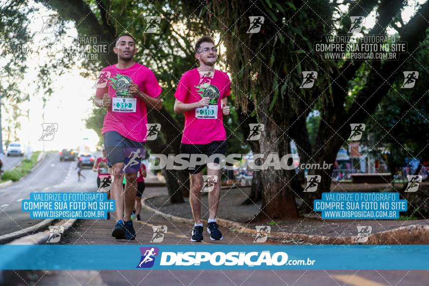 Amadeus Beer Run 2024