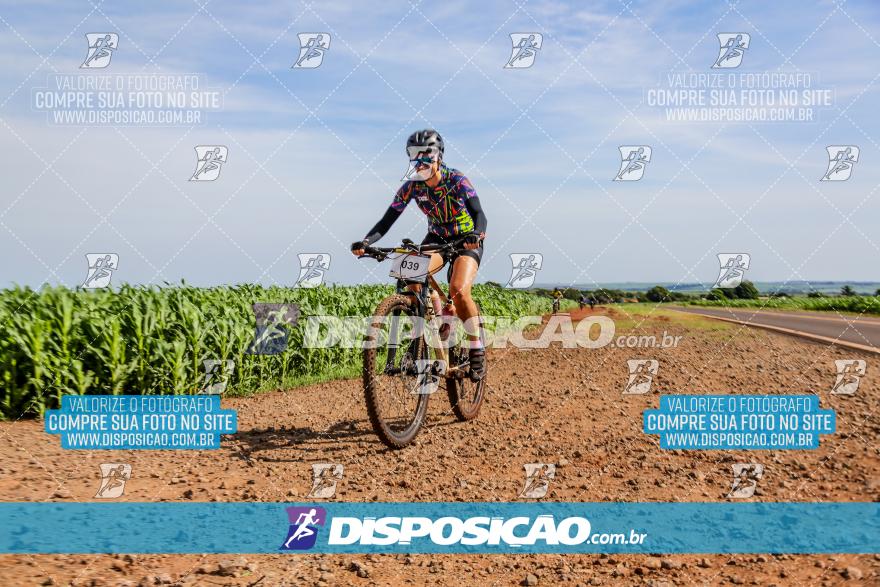 Desafio das Capelas 2024