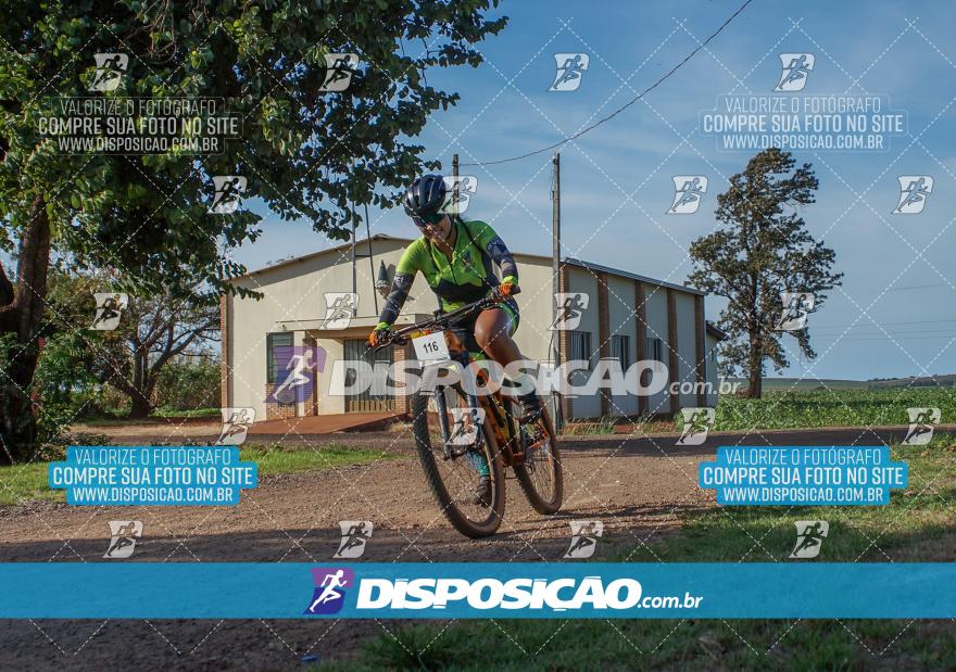 Desafio das Capelas 2024