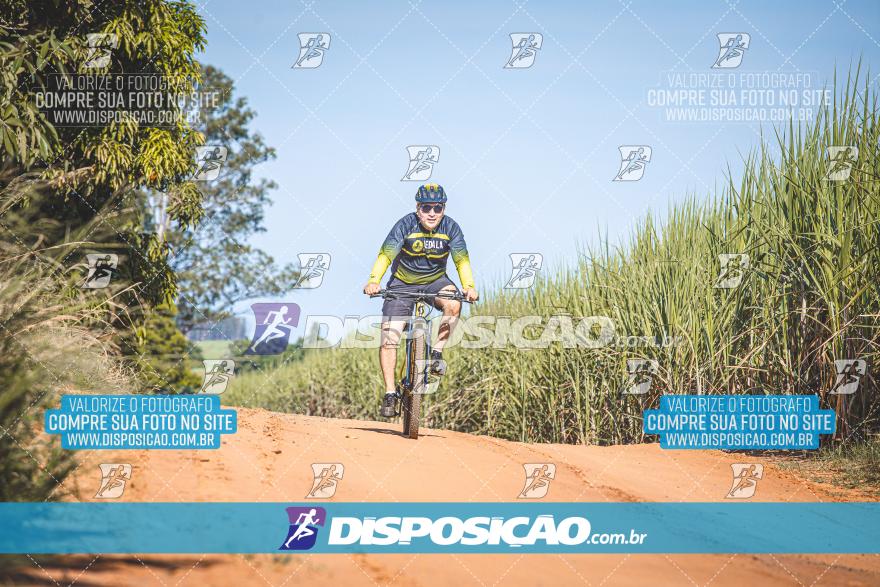 Desafio MTB Borá 2024