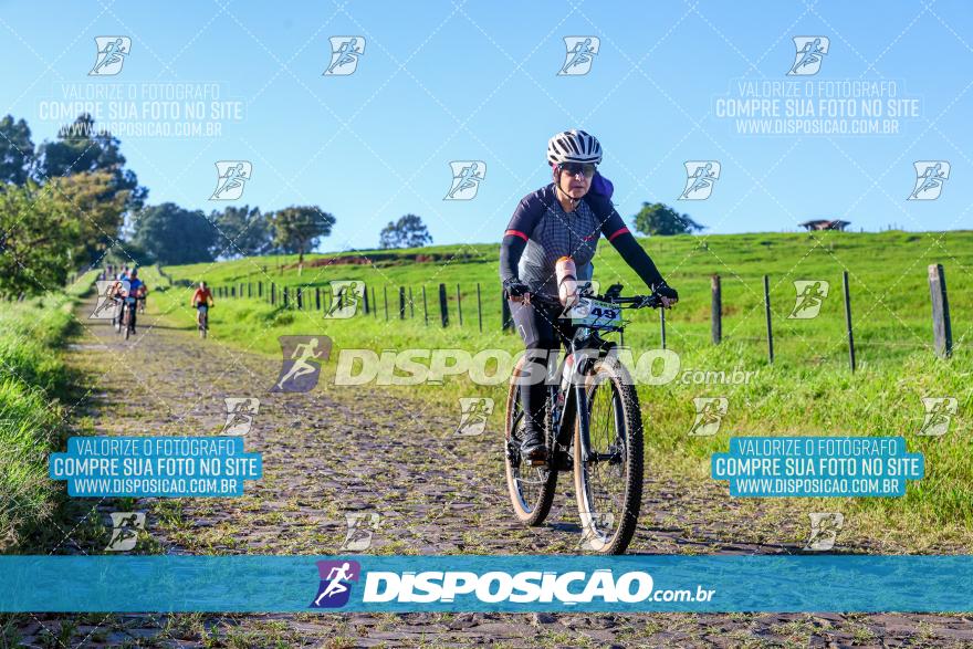 Circuito AEJ de MTB 2024