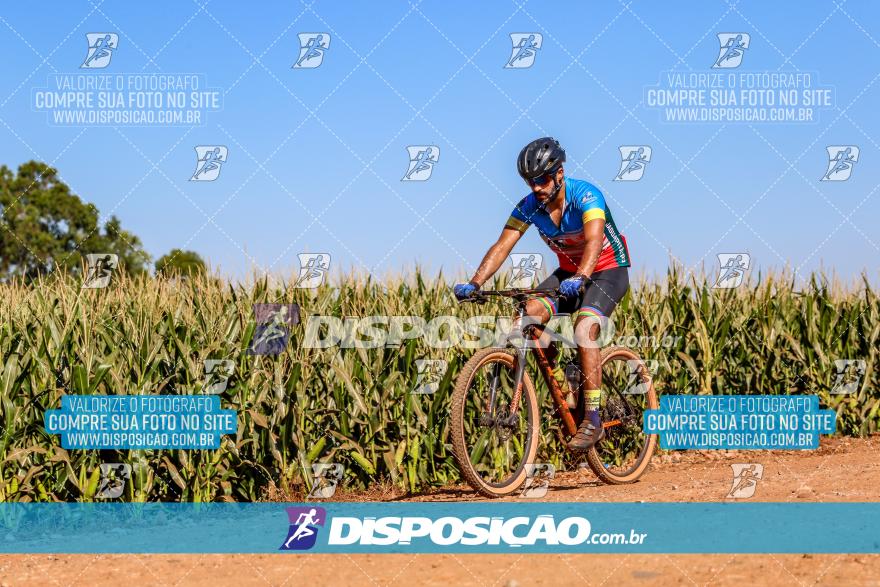 8º Pedal do Trabalhador - Vital Bikes