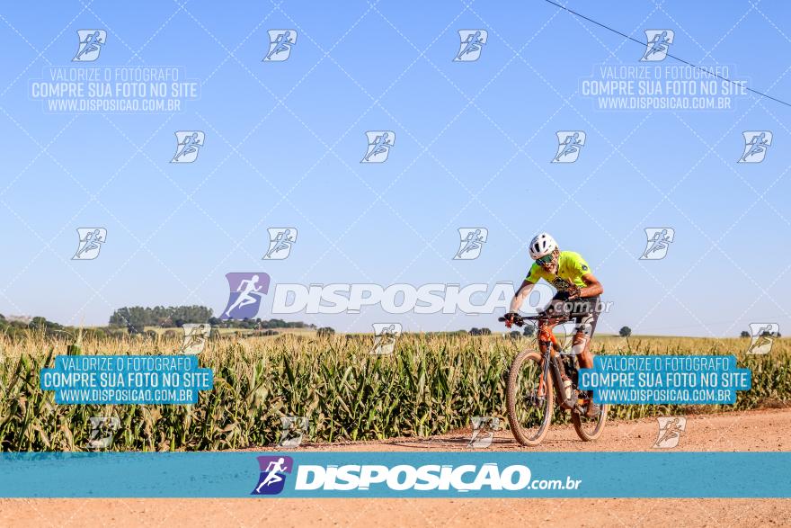 8º Pedal do Trabalhador - Vital Bikes